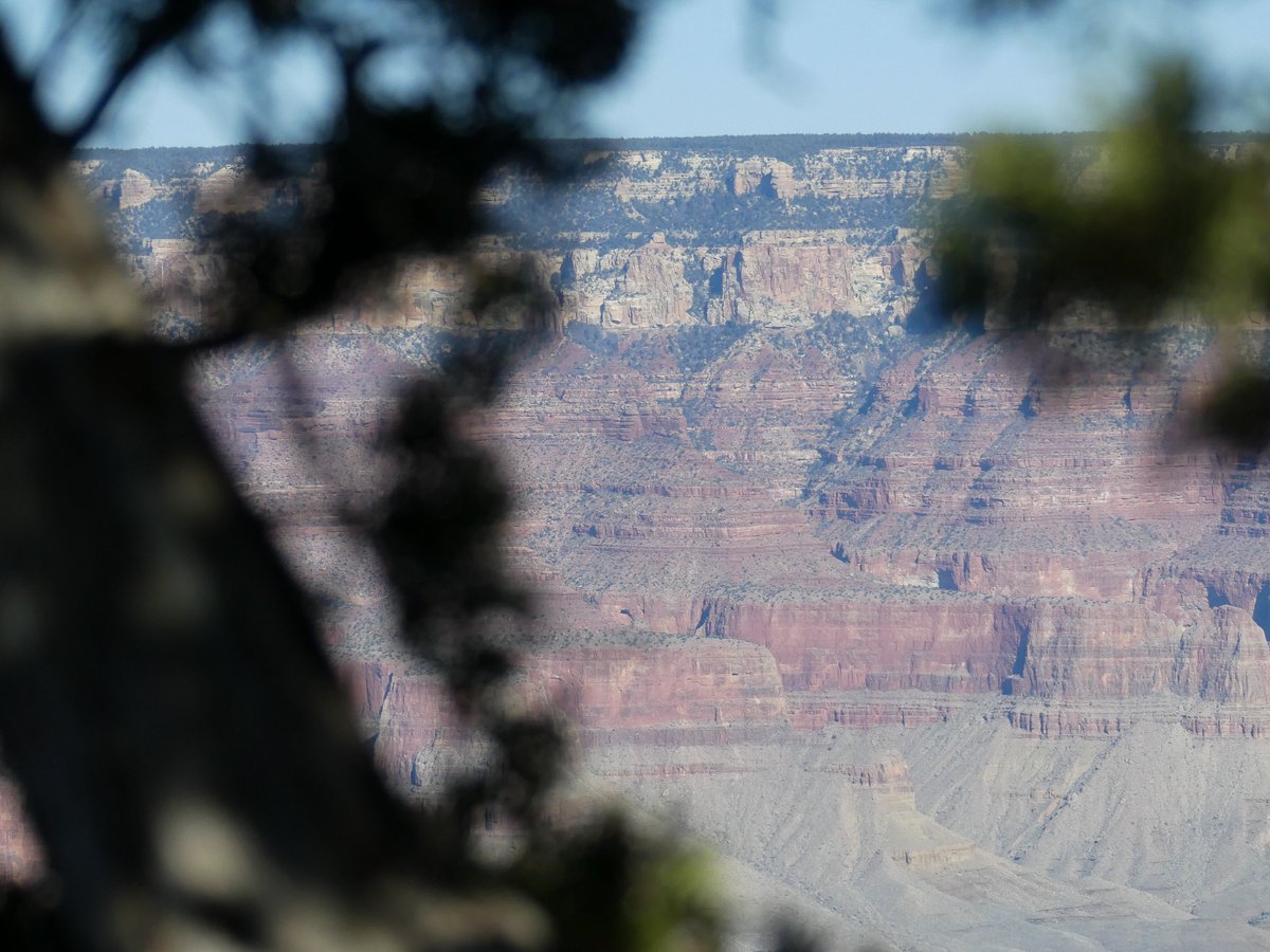 pwmoses11's tweet image. First time my corgis see snow (and love it) ✅
Grand Canyon views✅
Pleasant, not-too-cold weather ✅
Family time ✅
God is good ✅

@GrandCanyonNPS #GrandCanyon #Flagstaff #Corgi