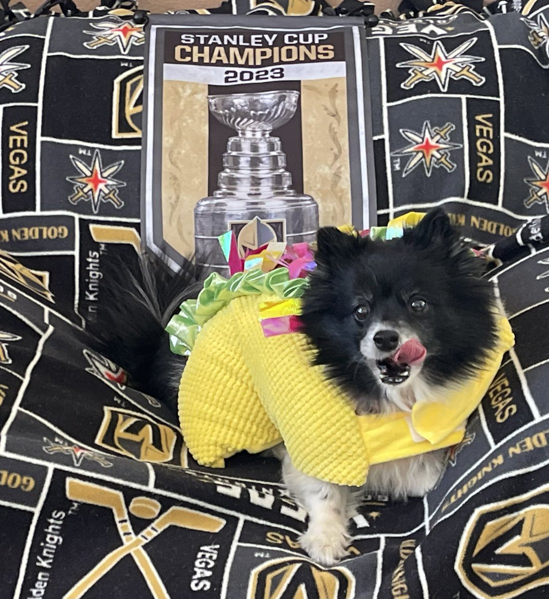 Ok, we’ve come back from being down by 2 before, and we can do it again.  We’ll act like we’re at the Fortress to get some #VGKSecondDinner and #VGKTaaaacccooossss 🌮🌮🌮 with a side of #VegasBorn #Lucky3rdPdVGKNoseBoops!  Let’s go!!!

#VGK9Krew
❤️🐼🐶