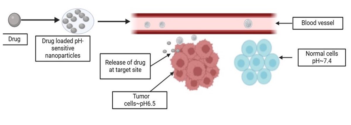A comprehensive study on #pHsensitivenanoparticles for the efficient #delivery of #drugs

doi.org/10.5455/jabet.…