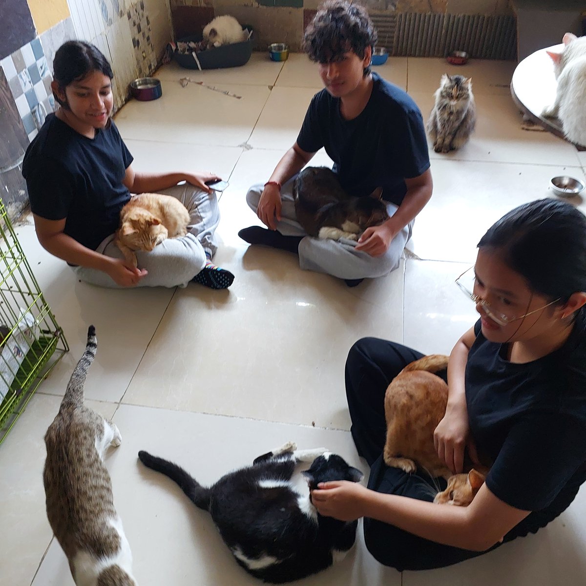 Stonehill Boarding tweet media