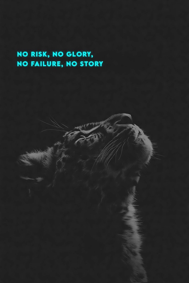 GM Everyone,

No Risk, No Glory
No Failure, No Story