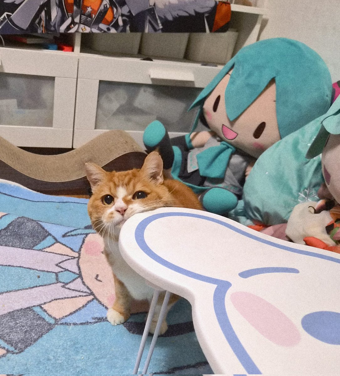 weed0246's tweet photo. 왜이렇게 볼을 콕 대고잇는거지? 기여어 https://t.co/jZLmNV9oyQ