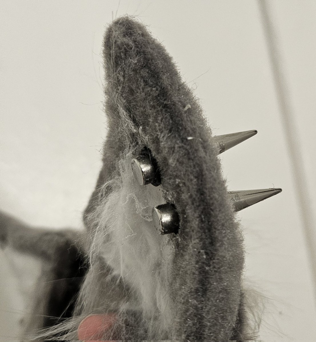 RizuMayonaka's tweet photo. MEOW MEOW MEOWTHERFUCKERS 
Rizu Ears are DONE!!!
I modified these gray cat ears i had, added white fur, and bought earrings to match!
#rizuvtartist https://t.co/jeKCVneIb6