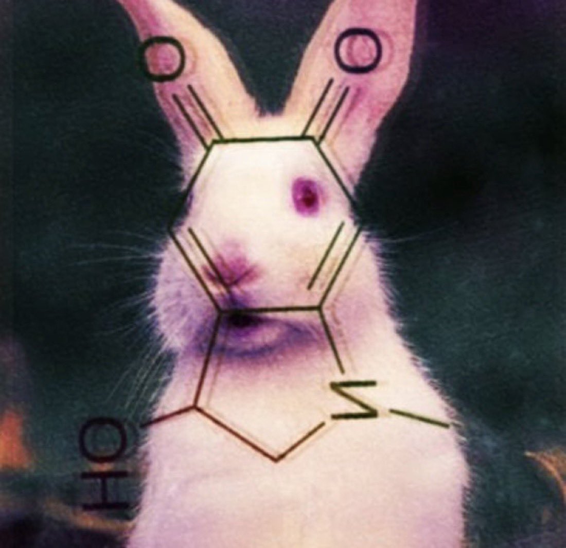 Tyler Durden tweet media