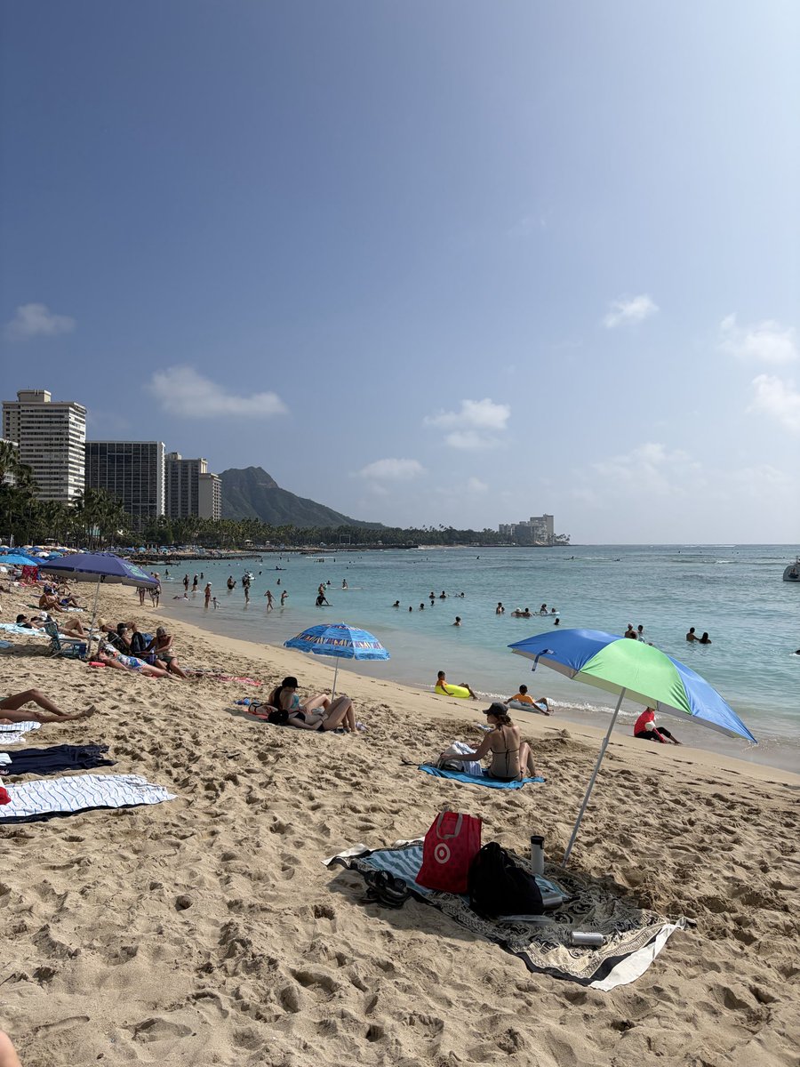 山本空良（公式） tweet media