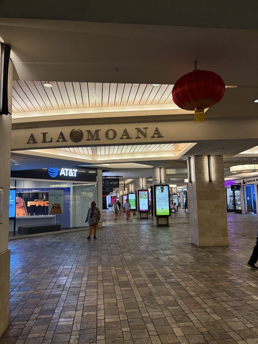 山本空良（公式） tweet media