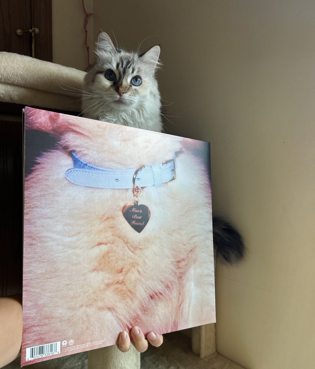 jordynsleftbrow's tweet image. ‘Man’s Best Friend’ by Sabrina Carpenter has won the #Goose award for Album of the Year.