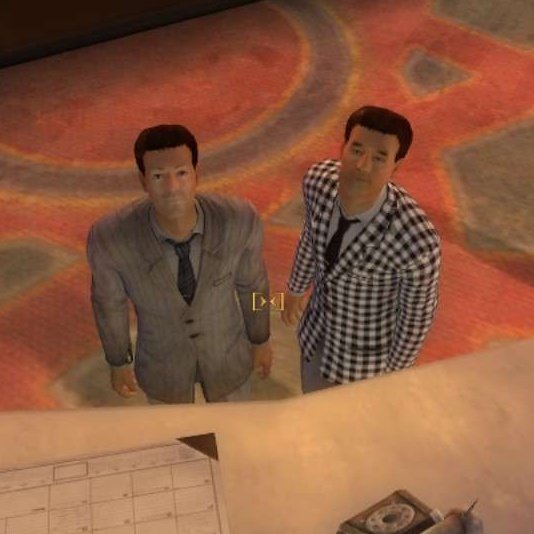 bugs when you lift up a rock