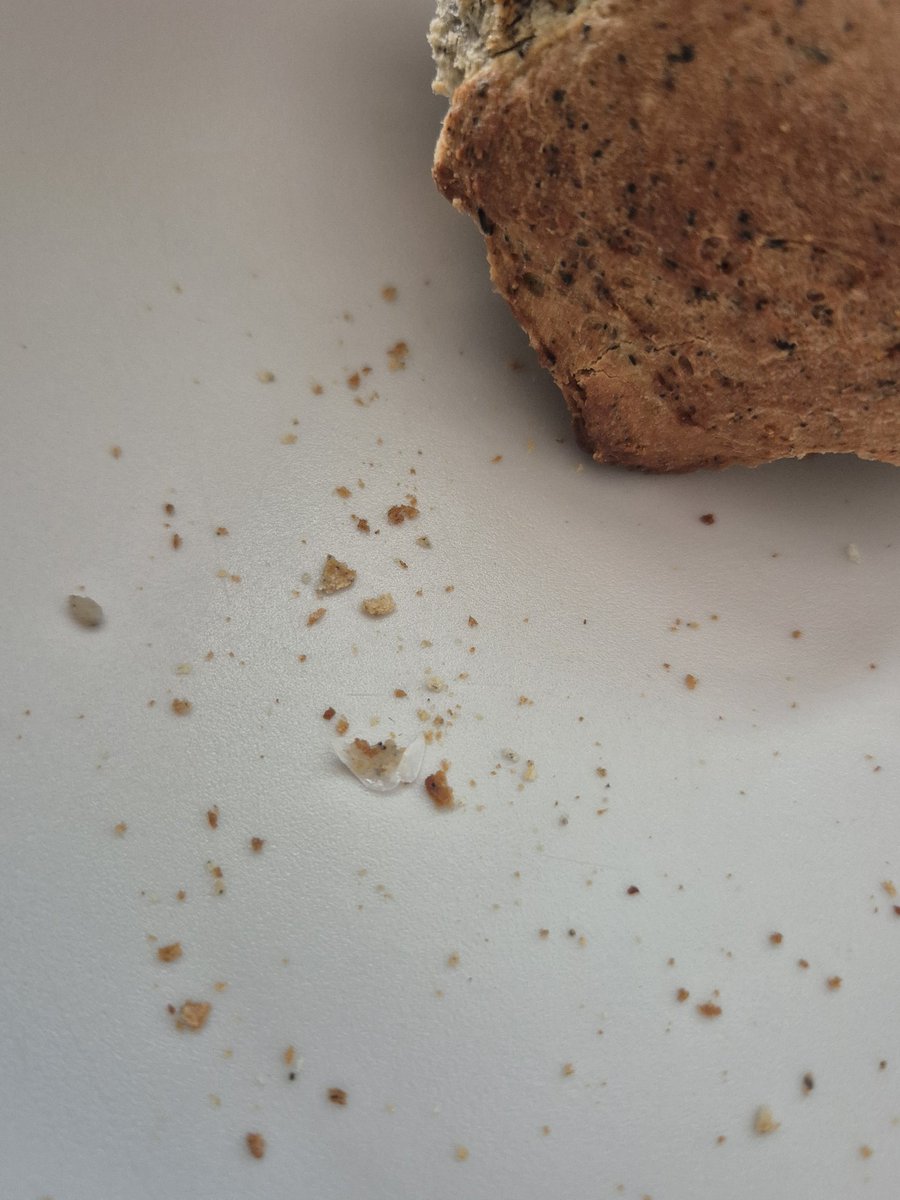 Less00_r's tweet image. 베이글 먹다가 플라스틱 조각 나왔는디 어케해야함...?