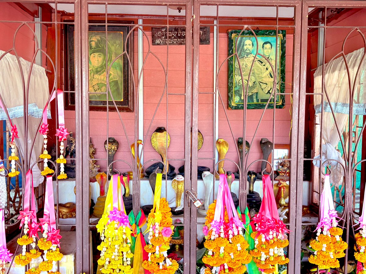 🙇‍♀️วันนี้ไหว้ศาลเจ้าพ่องู
เอาไข่มาถวาย 99 ฟอง ขอให้มีโชคร่วมกันอีกค่ะ สาธุ 
💚 492 💚 
อย่าตัดซื้อ แปลงเลขกันด้วยจ้า