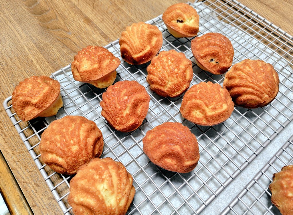 pan_make's tweet photo. マドレーヌを作った😊
半分は型にくっついてしまい
残念な結果に…😭

#お菓子作り
#マドレーヌ https://t.co/dgJq0PXiH5