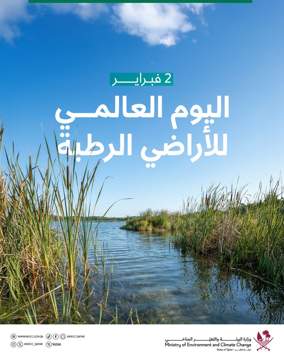 moecc_qatar's tweet photo. يُحتفل باليوم العالمي للأراضي الرطبة في الثاني من فبراير من كل عام، بهدف رفع الوعي بأهمية هذه النظم البيئية الحيوية، فالأراضي الرطبة تُعد مصدرًا رئيسيًا للتنوع البيولوجي، وتساهم في تنقية المياه، وحماية السواحل، وتوفير الغذاء والمأوى للعديد من الكائنات، كما أنها تلعب دورًا أساسيًا في مواجهة التغير المناخي من خلال تخزين الكربون وتنظيم الفيضانات، لذا فإن الحفاظ على الأراضي الرطبة هو حفاظ على حياة الإنسان والطبيعة معًا.

#وزارة_البيئة_والتغيّر_المناخي