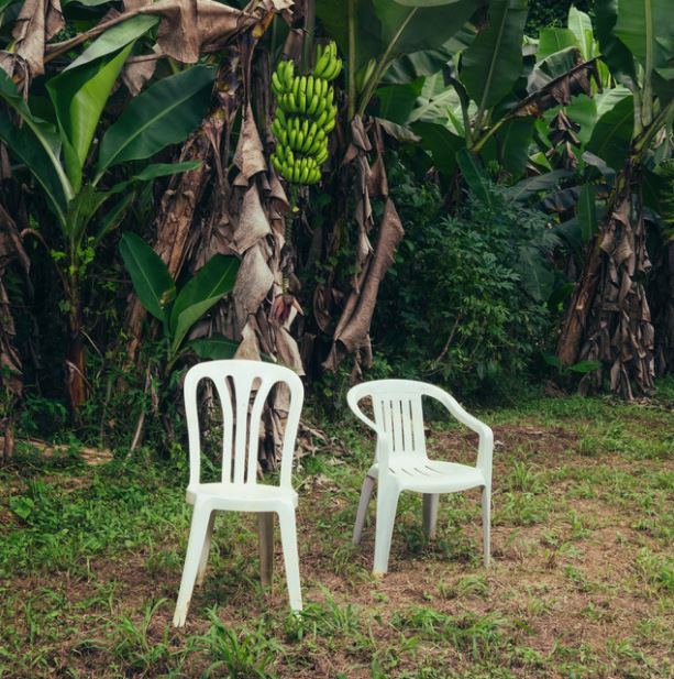Le ganó a Kendrick, a Sabrina, a Lady Gaga, a Justin y a Tyler, the Creator.
Y ganó con justicia, porque Debí tirar más fotos fue el mejor disco del año pasado, de muchas maneras distintas.
Siempre dije que Puerto Rico es una tierra mágica que conecta con el pulso mismo de la