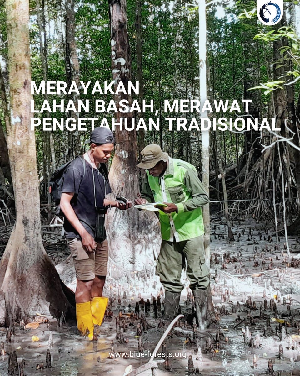 Blue Forests (Yayasan Hutan Biru) tweet media