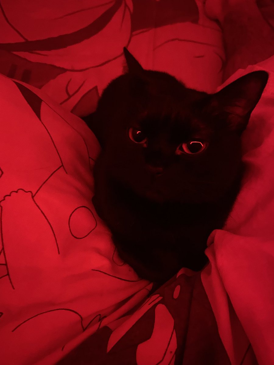 🖤🖤