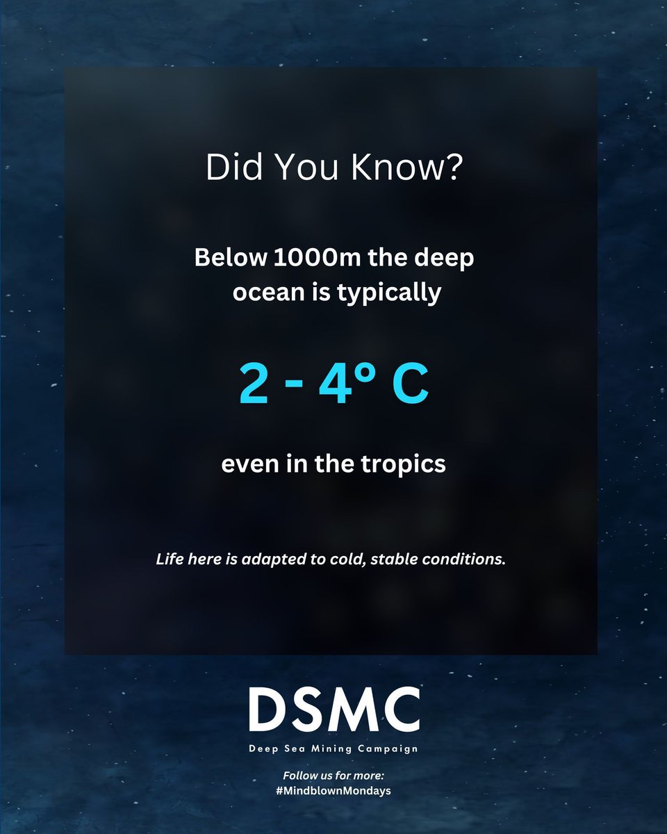 Deep Sea Mining Campaign tweet media
