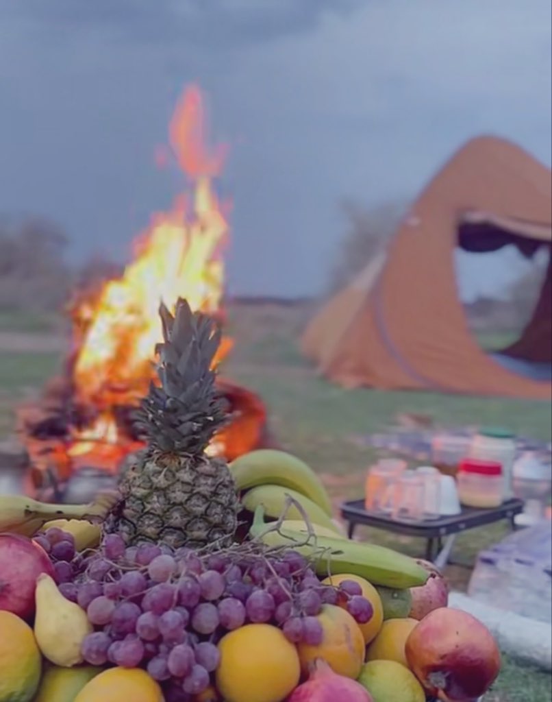 ✨ قـرنـاس ✨ tweet media