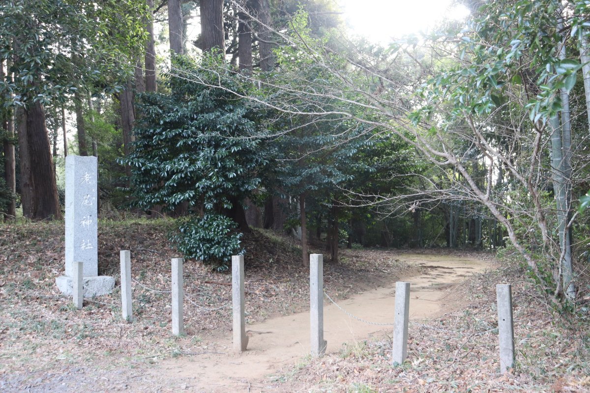 ヾ(・ω・ｏ) ｫｨｫ