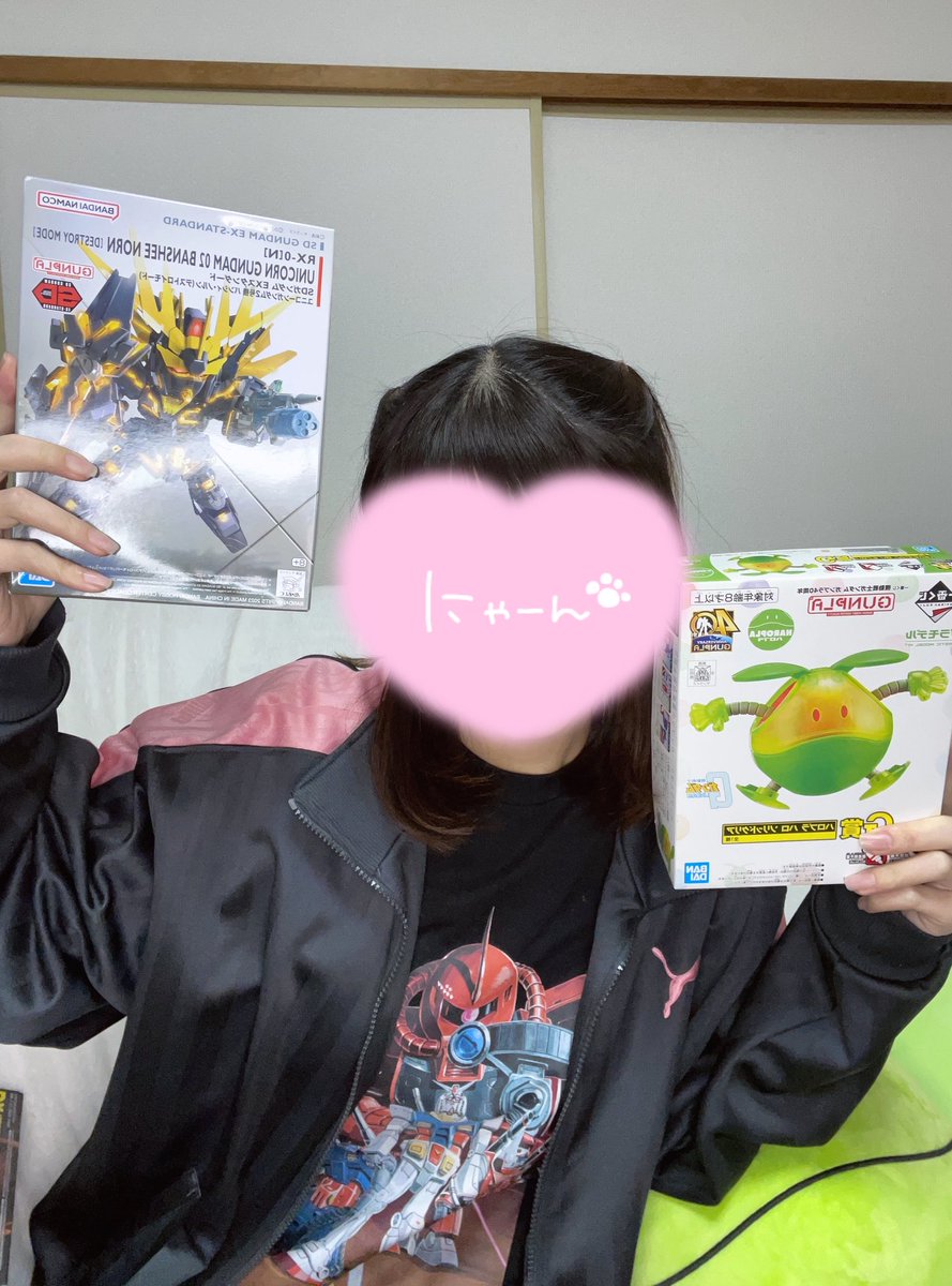 のん・きゃのんちゃん (@nonchan153) / Posts / X