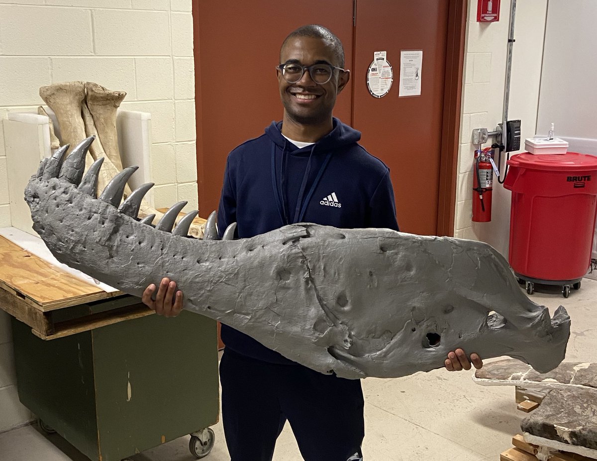 Jaizinosaurus the Turtle Lizard tweet media