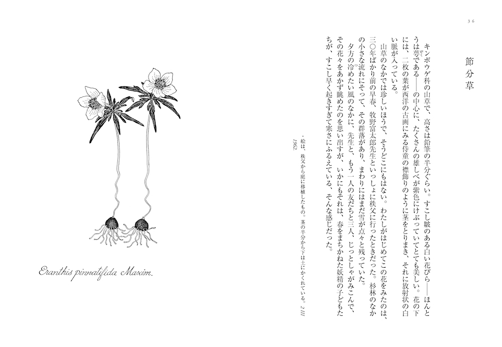 本日2月3日は #節分 小社からは佐藤達夫『植物誌』をご紹介。 美しい