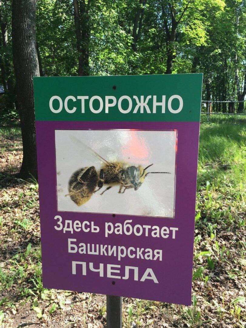 gr00sh's tweet photo. ВСЕМ ЛЕЖАТЬ НАХУЙ https://t.co/lXCjyqUXwh