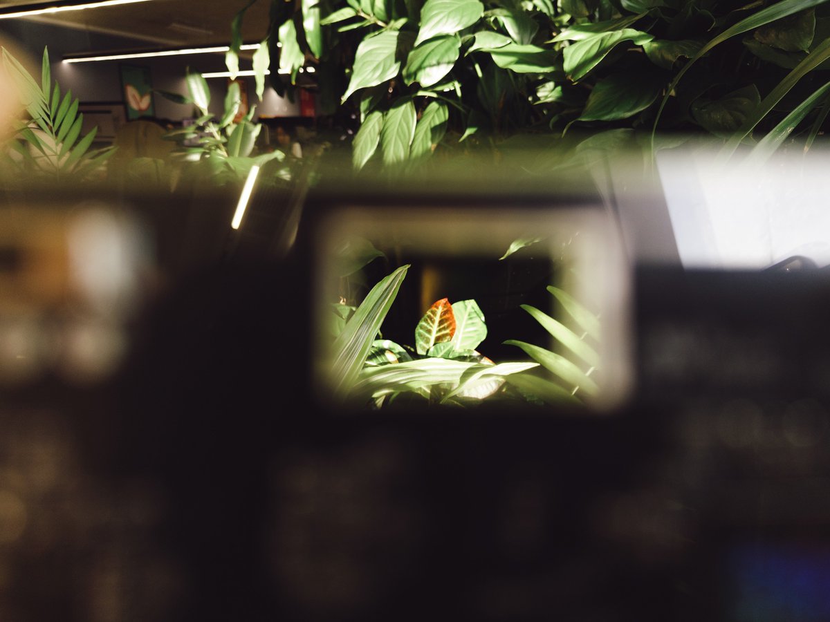 Lisheng Chang tweet media