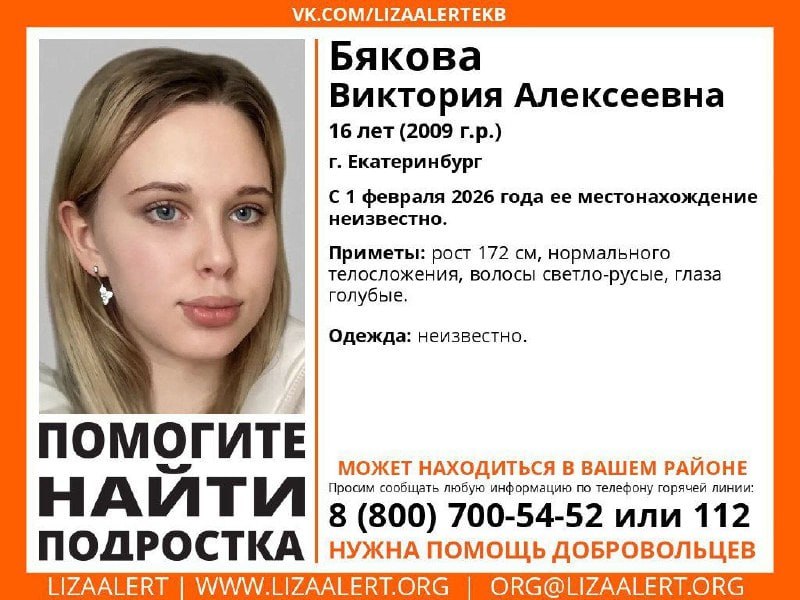 Новости от 66.RU tweet media