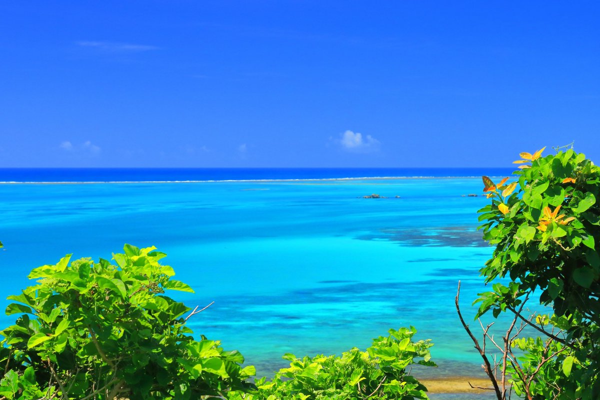 岩下拓🧭Web3×ツーリズム tweet media