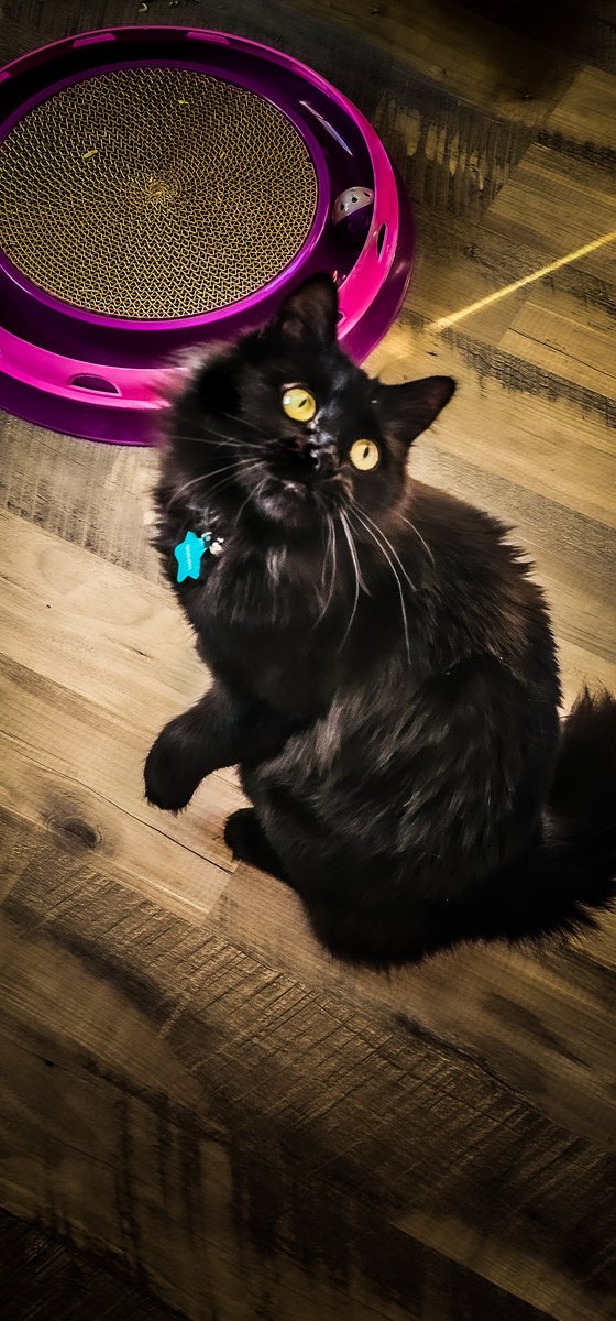 𝓙𝓮𝓼𝓼 ♡ ( 𝖘𝖕𝖊𝖈𝖙𝖗𝖊 ) tweet media