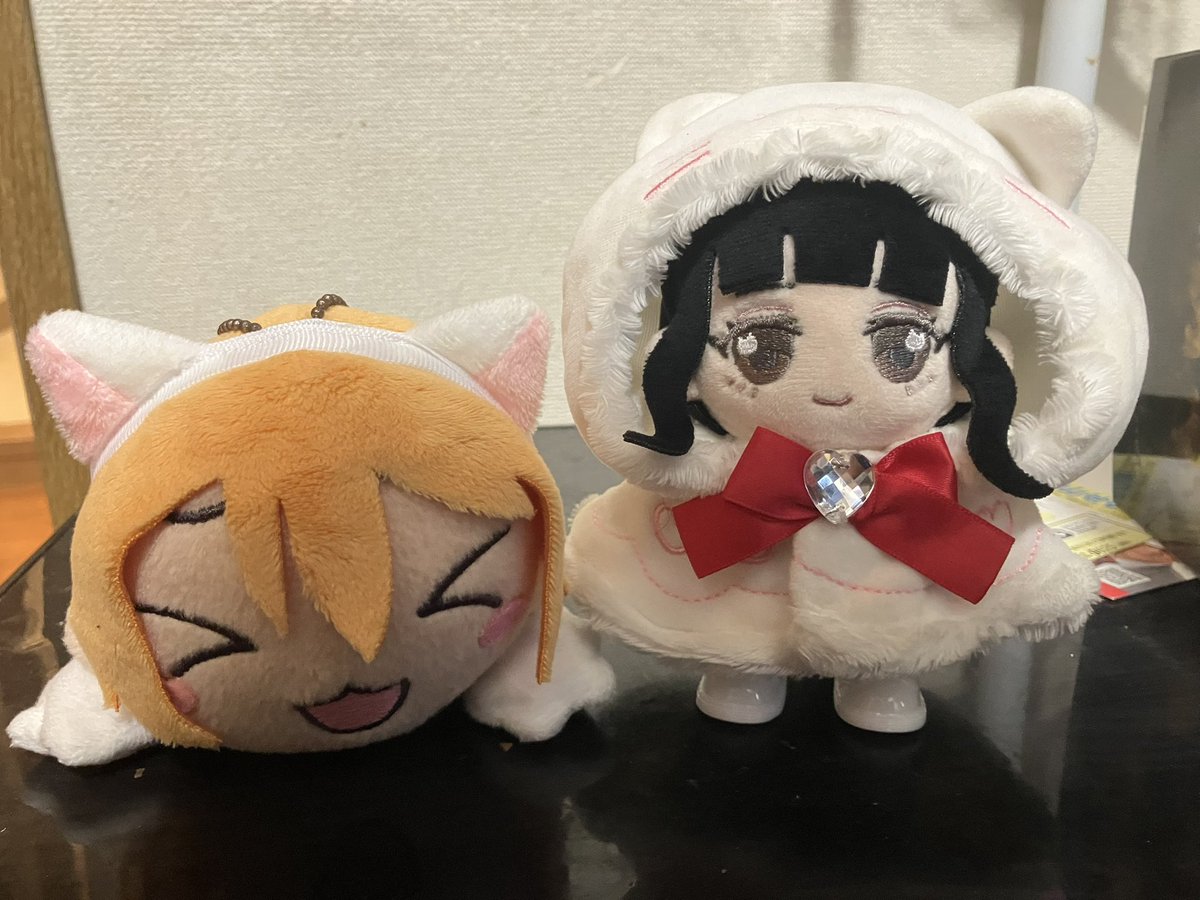 猫の日 #まいにちこなぬい