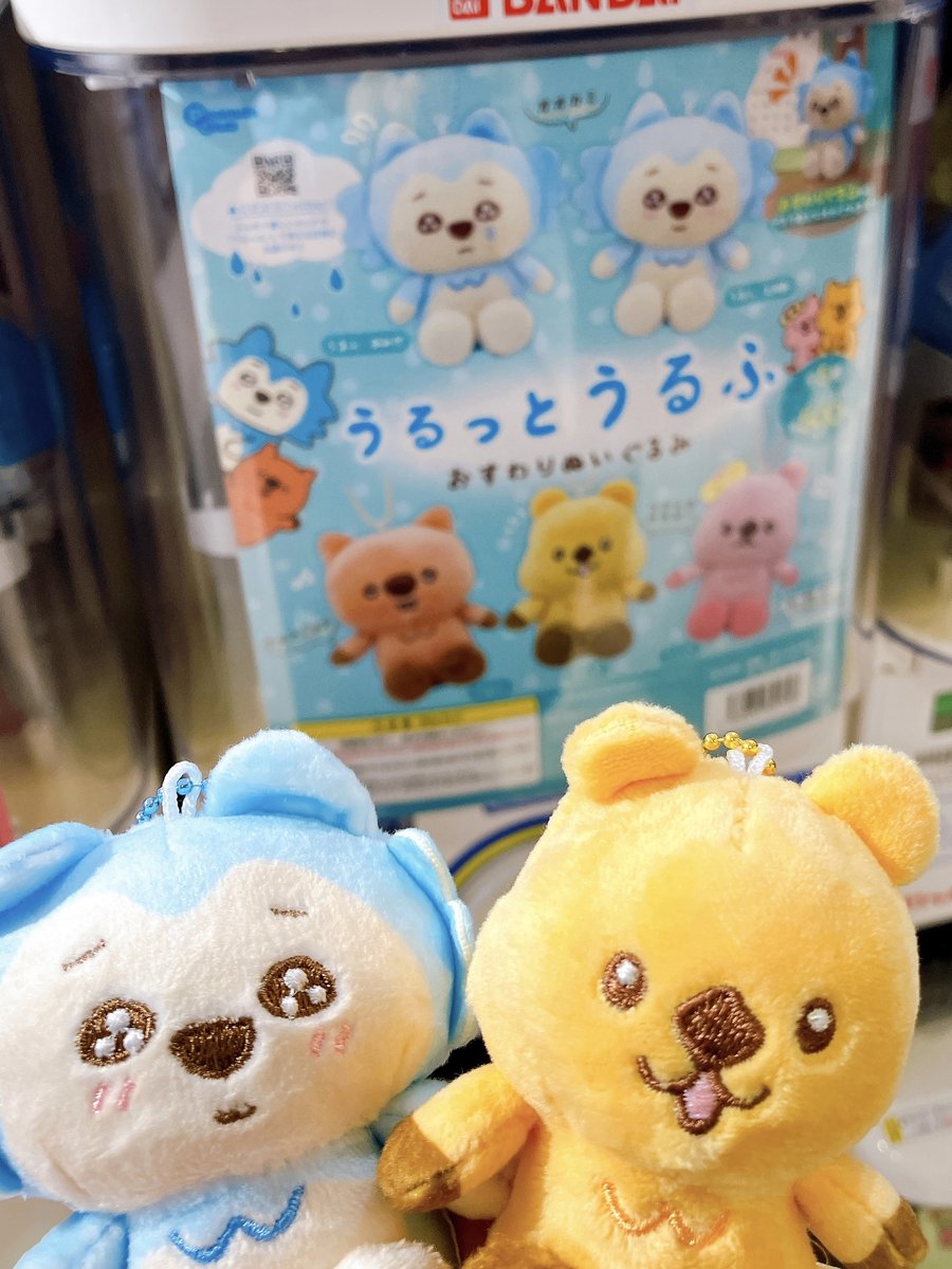 うるっとうるふ (@urutto_urufu) / Posts / X