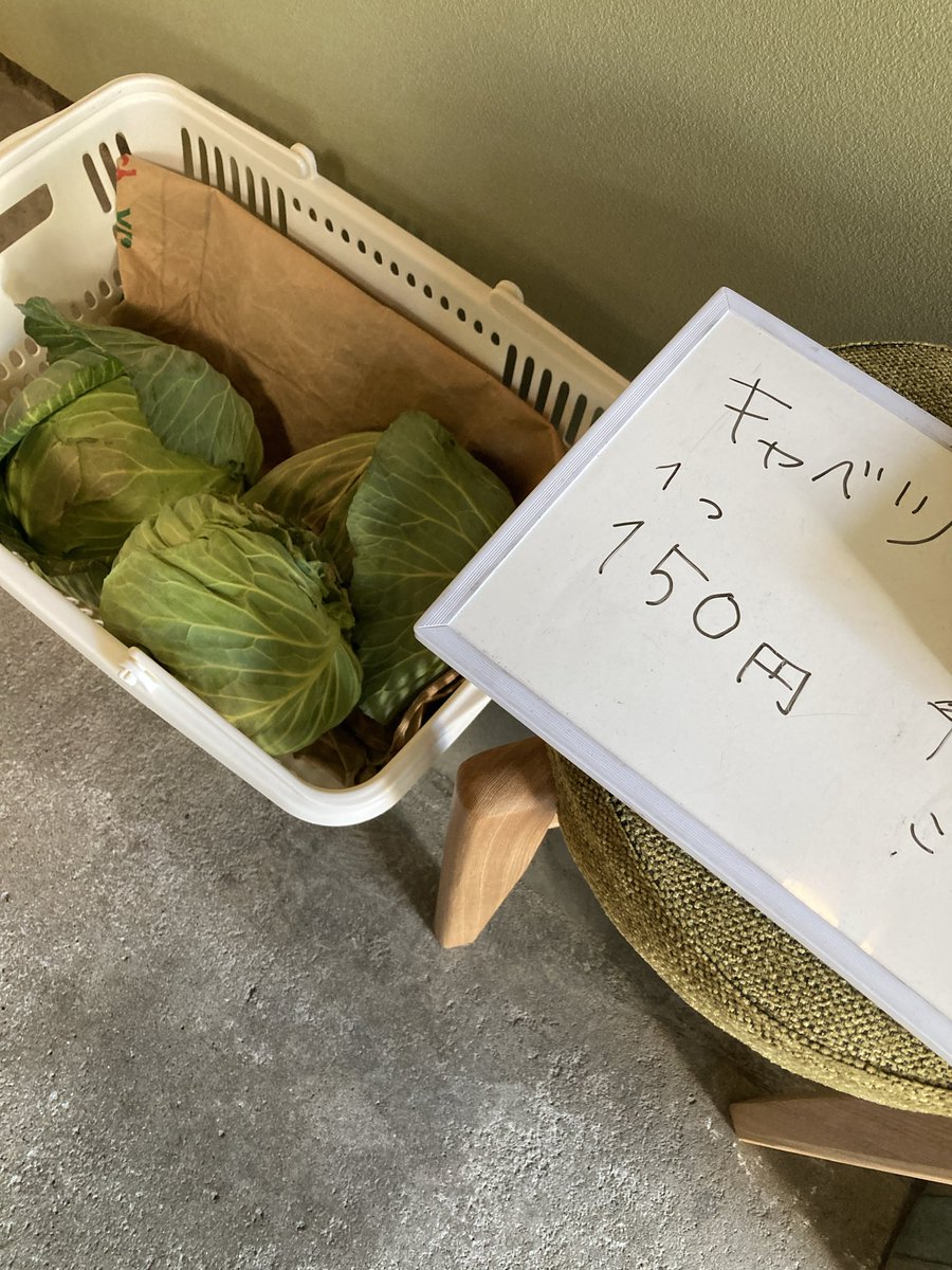 ２月２日

本日も通常営業です。
14〜20時(L.O.19時20分頃)

みなさまのご来店をお待ちしております。

#ほうじ茶
#さや香茶

キャベツあります