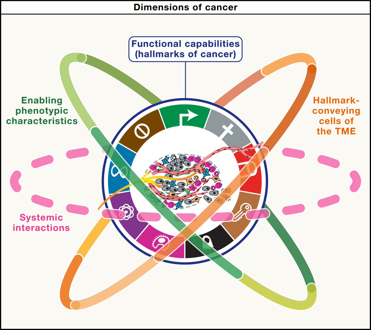 🧵
If you still think of cancer as a list of mutations, you’re missing the bigger picture.

In <a href="/CellCellPress/">Cell</a>, Douglas Hanahan redefines the Hallmarks of Cancer.
This is not an update, it’s a new way of thinking about cancer.

Here are the 7 most relevant changes 👇 <a href="/OncoAlert/">OncoAlert</a>