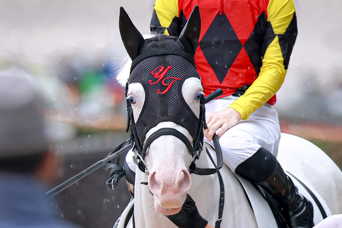 ぢゃあ、 tweet media