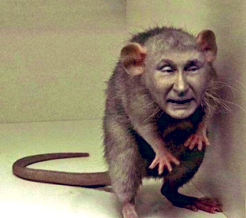 Чтобы прекратить все войны и все теракты во всем мире, достаточно прихлопнуть одну единственную полоумную кремлевскую крысу.
😀