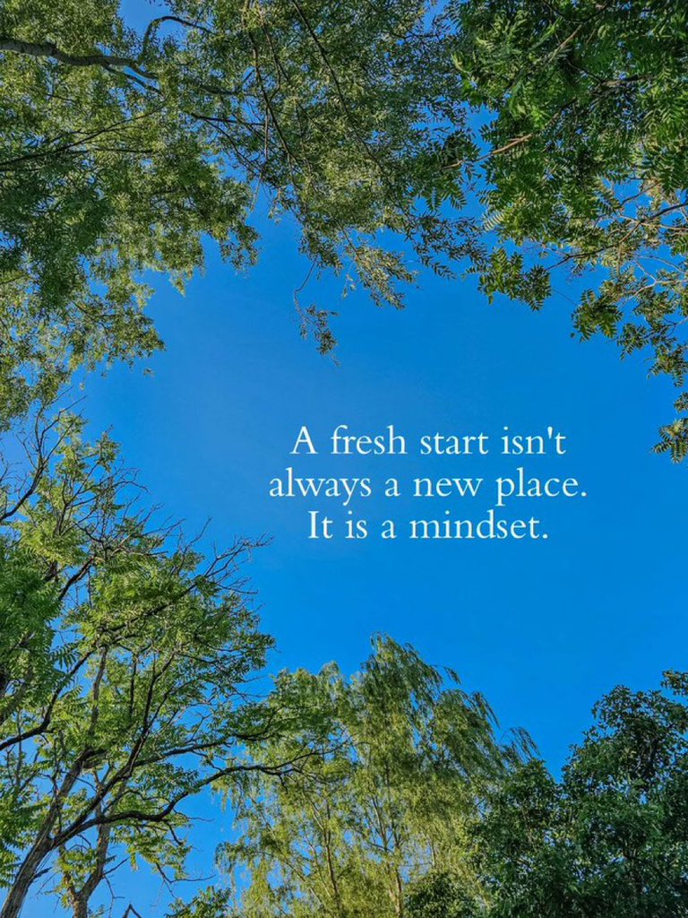 mindfulmaven_'s tweet image. 