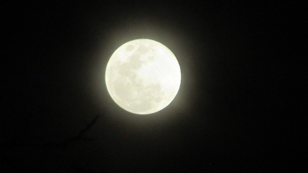 syscoatl's tweet photo. #BienvenidoFebrero 
#Luna https://t.co/t338TyOSYv