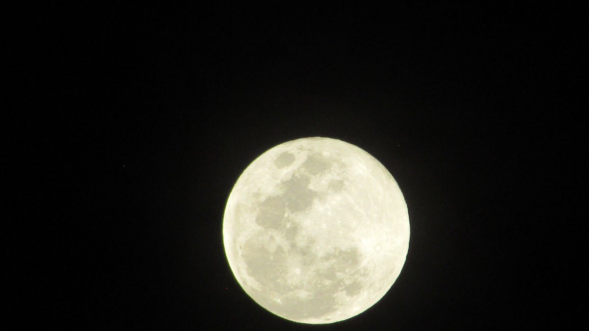 syscoatl's tweet photo. #BienvenidoFebrero 
#Luna https://t.co/t338TyOSYv