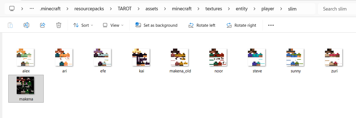 Work on Part 2 of my Rich vs Poor series continues!

Today I ran into a problem; for some reason only my skin is loading in? But luckily I found a solution- just modify the default skins directly!