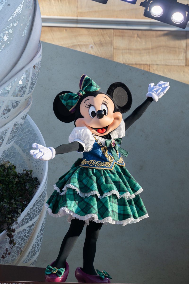 ミニーちゃん可愛かった🫶