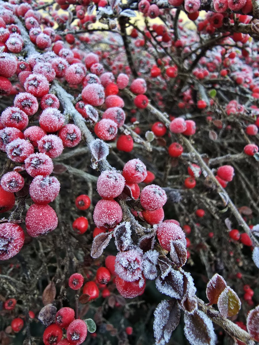 Mutualan yuk, lapakku isinya cerita tentang jerman, jadi tki di sini dan cerita horor versi jerman. Kadang ngegantung karena kebentur persepsi orang sini sama konsep setan. Aku kurasi cerita asli mereka dari reddit dan lainnya.

BTW aku langsung fb tanpa peduli kamu cenblu atau