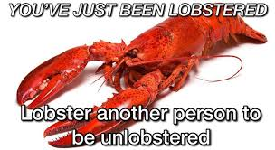 So you're telling me you bought the lobster coin and you're down 76% in 2 days?