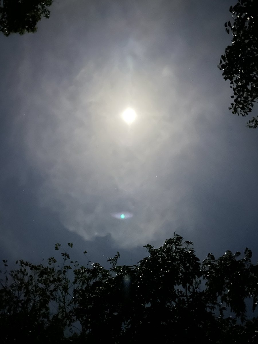 Mvckinz's tweet photo. 🌕 https://t.co/IhozlAZzcr