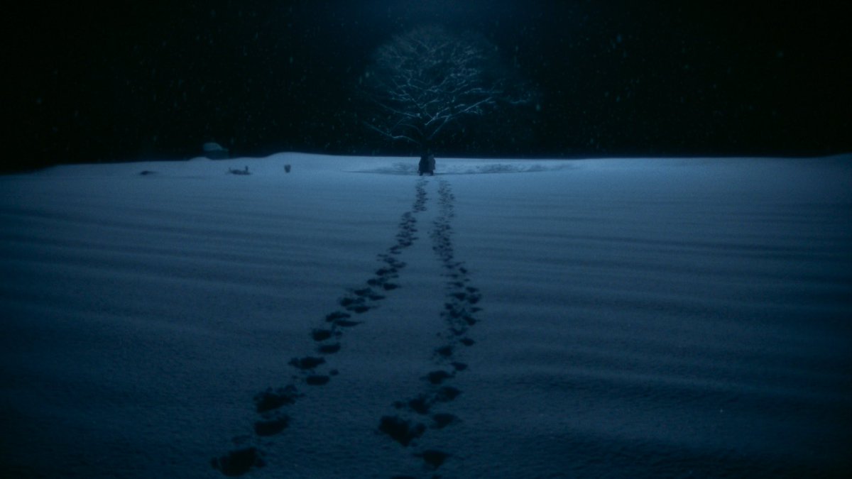 5centimetersid tweet media