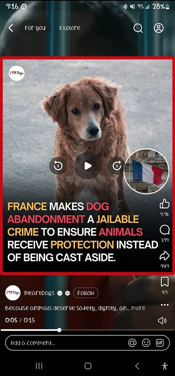 Want to solve pet adornment. I was just saying this to someone at the dog park. Let's follow France, and get rid animal abuse. Wasn't that hard to solve. But I bet America is too stupid to correct its ways and maybe shelters can be used for the correct reasons, not to house them.