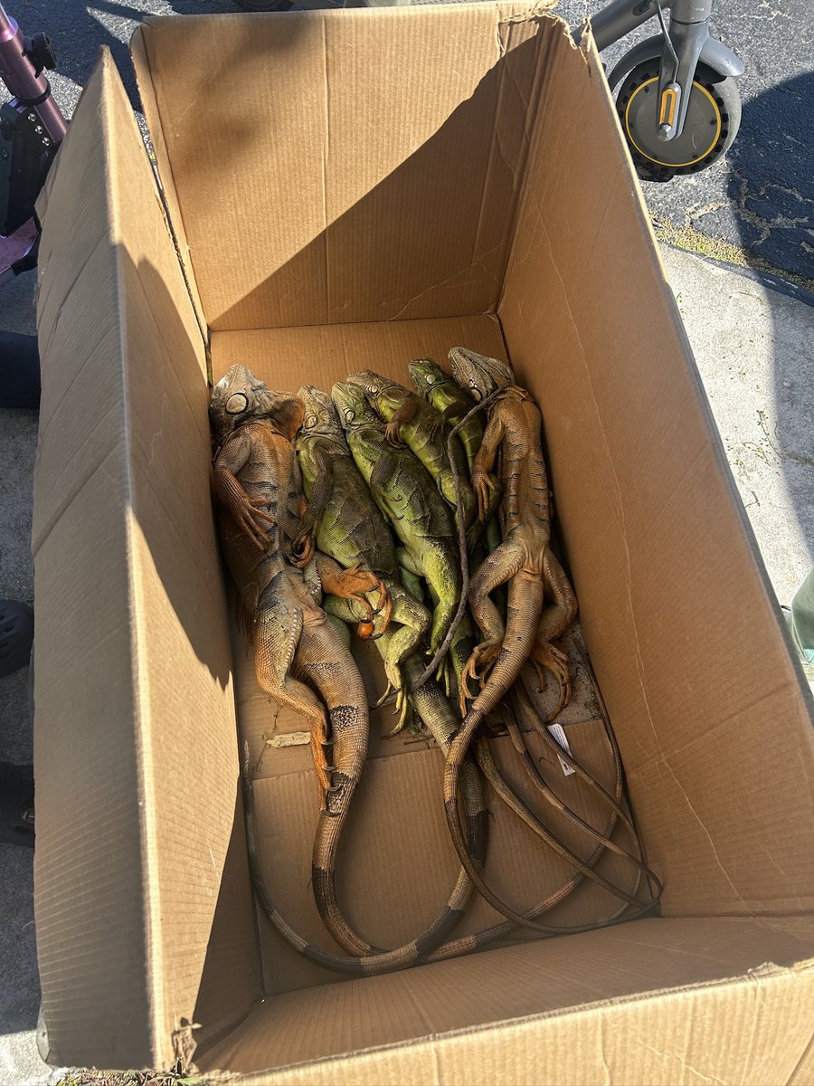 Broward County Florida 😂