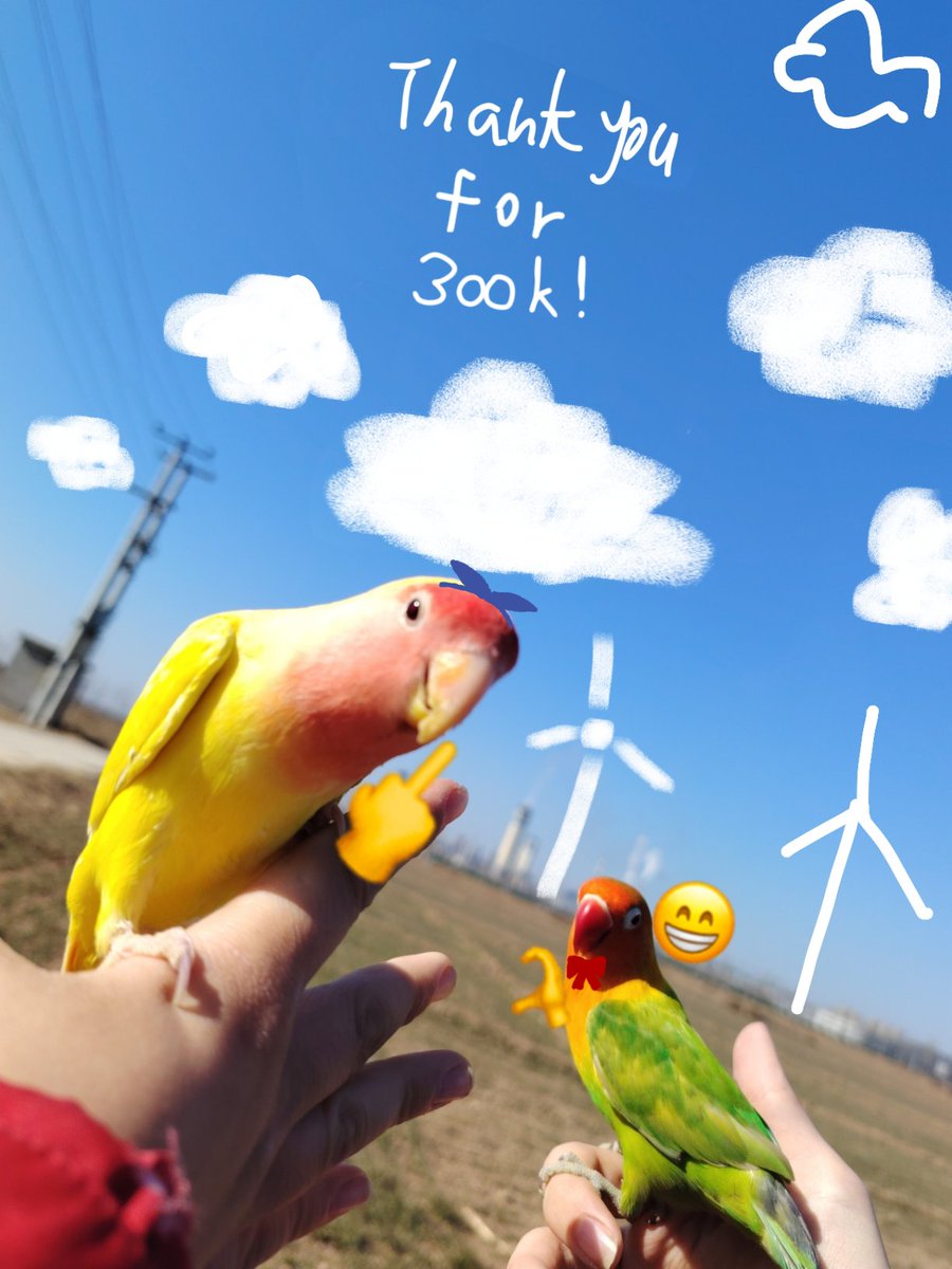 GoodyApple's tweet photo. I had a sudden inspiration while taking pictures of my bird and came up with something fun.👍（Inspired by popopoka.）
P3：Erika's sticky note teaser.
⊙▽⊙
@popopoka_ https://t.co/AxLiaUg1ul