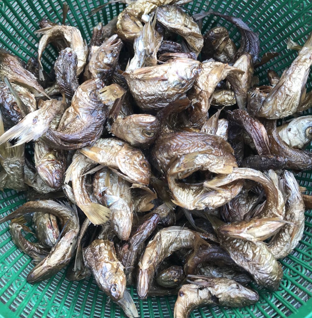 bolanleventures's tweet photo. Frame 1&amp;2- smoked fish available for sale in different quantities 
Frame 3&amp;4 - unrefined shea butter available in large and small quantities. 

Delivery available nationwide. https://t.co/j2g1Jl5BrQ