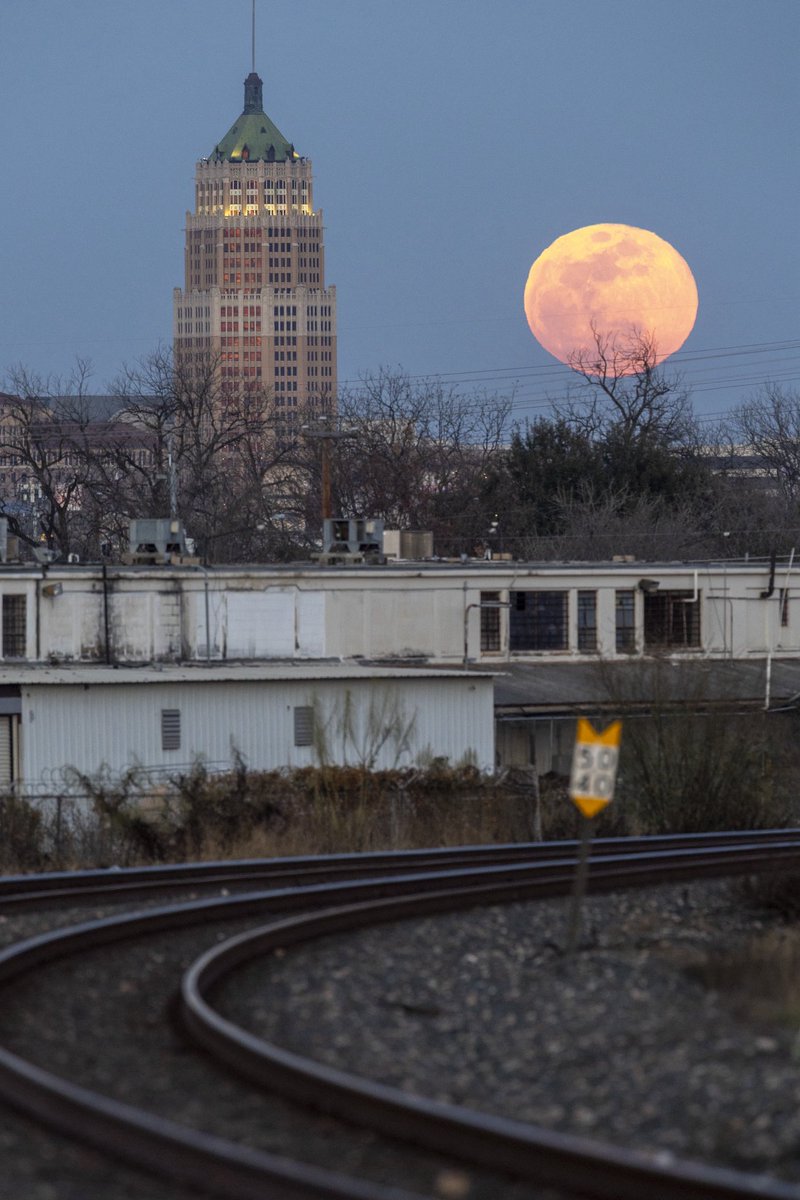 Andrew J. Whitaker tweet media